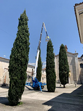 Palazzani Ragno XTJ 37 for sale фото 3